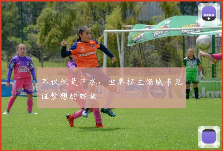 不仅仅是汗水,世界杯主场城市见证梦想的绽放