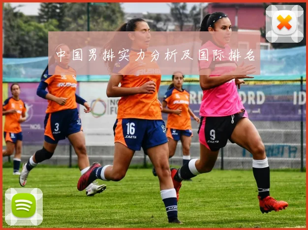 中国男排实力分析及国际排名