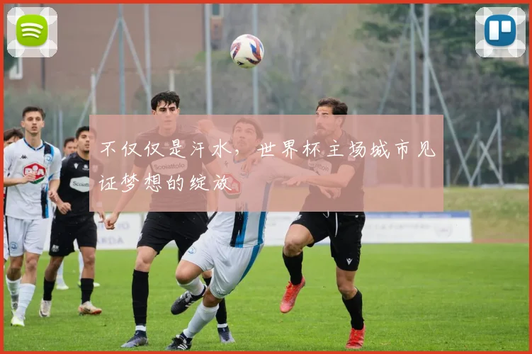 不仅仅是汗水，世界杯主场城市见证梦想的绽放
