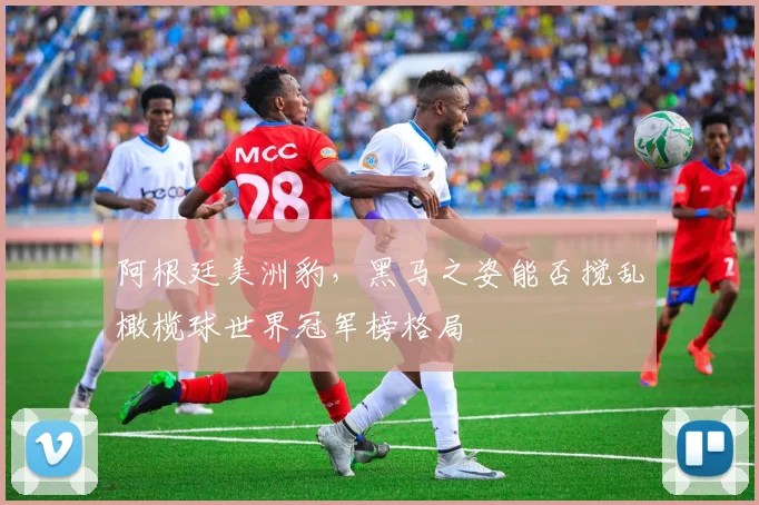 阿根廷美洲豹,黑马之姿能否搅乱橄榄球世界冠军榜格局